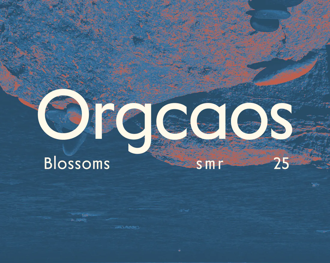 Graphic featuring the word "Orgcaos" with "Blossoms smr 25" below, set against an abstract blue and orange textured background for the studio's newsletter