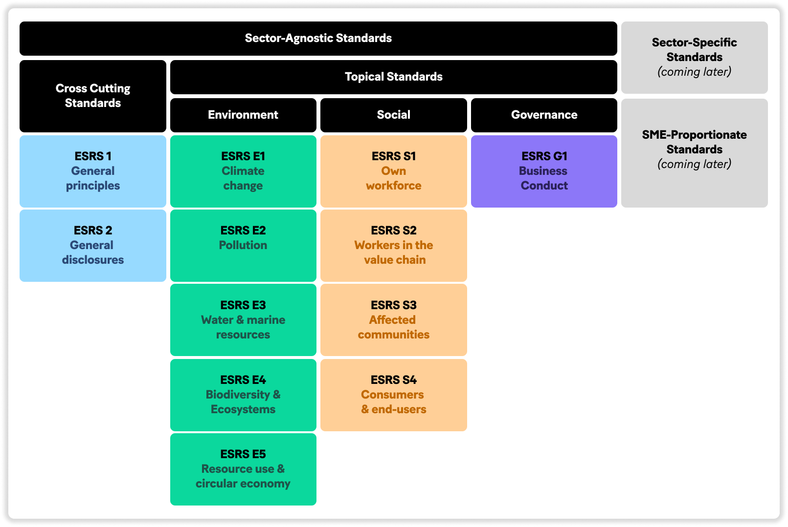 12 ESRS transversaux