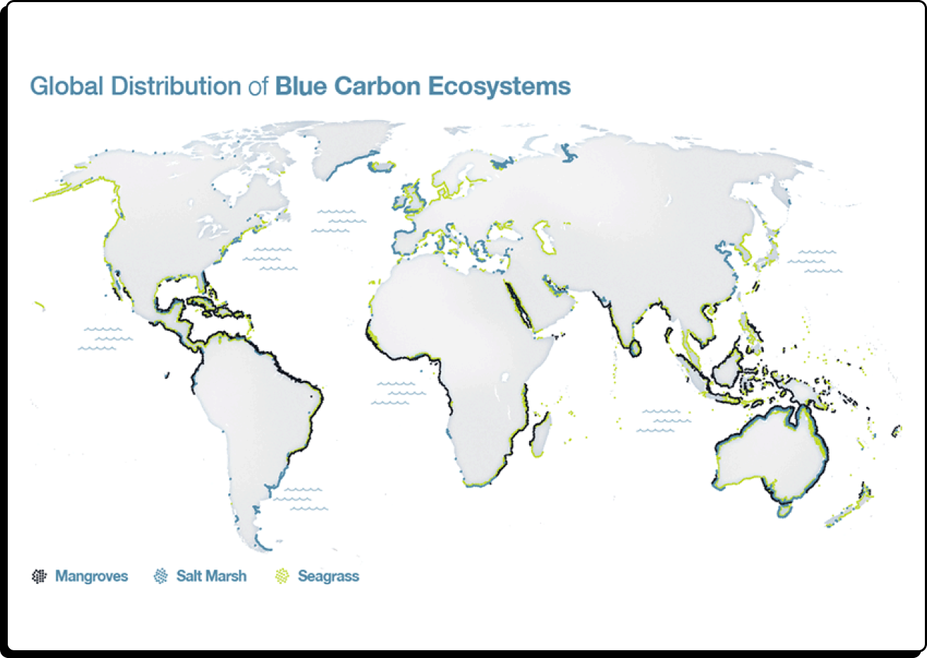 Répartition des écosystèmes de carbone bleu à travers le monde