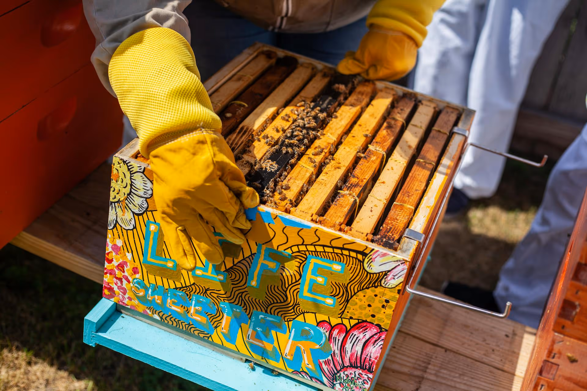 A person wearing yellow gloves handling a colorful beehive box with the words 'LIFE SWEETER' painted on it.