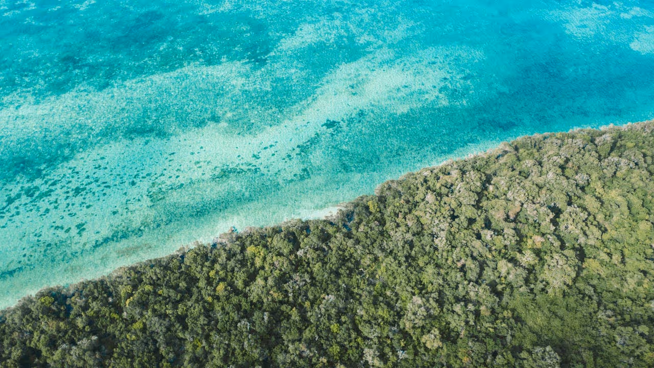 Aerial View of the Beach