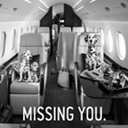 Interior of a private jet with two Dalmatian dogs sitting on seats, with text saying 'MISSING YOU.'