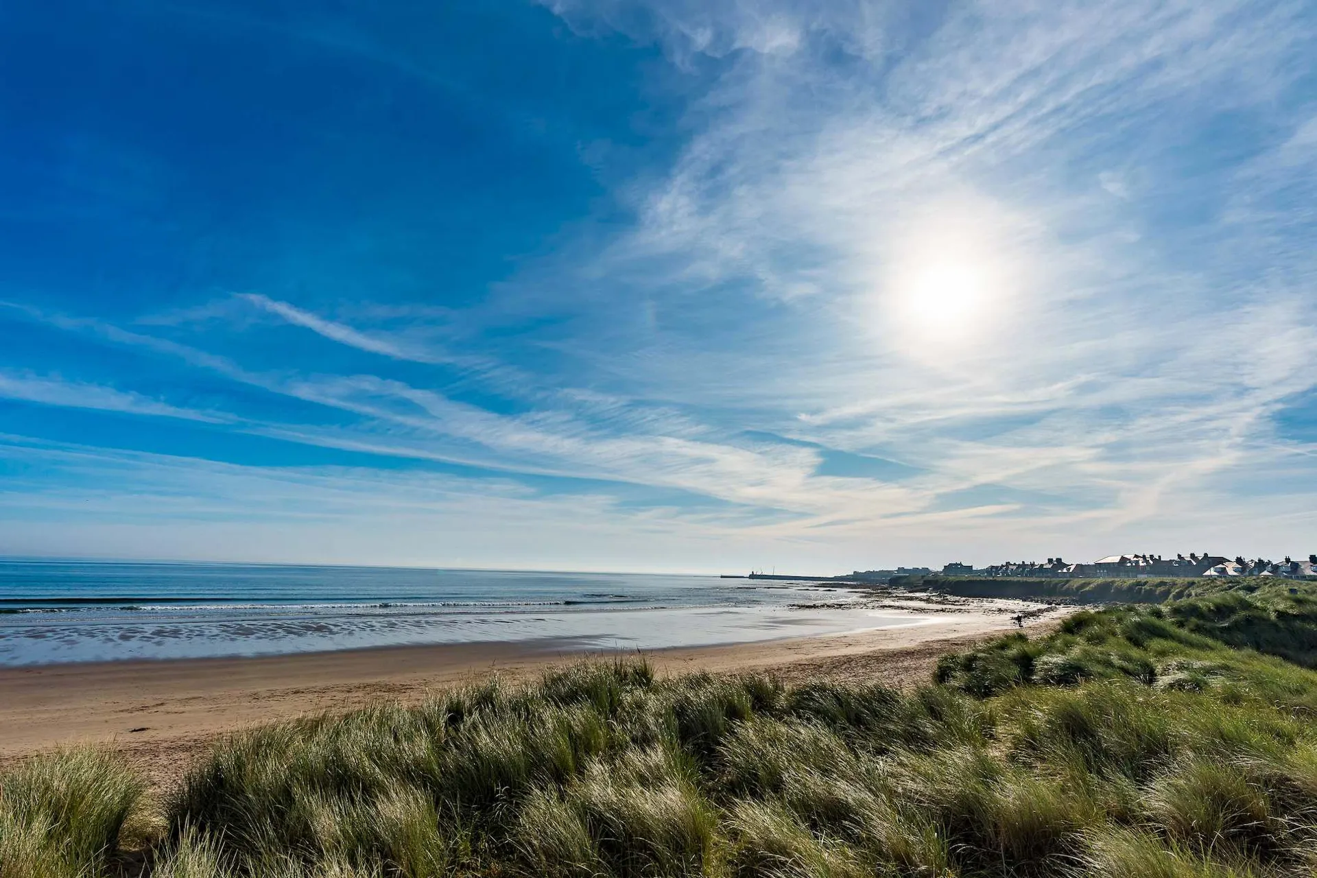 Sunny beach scene with tall grass in the foreground and houses along the shoreline under a bright blue sky.
