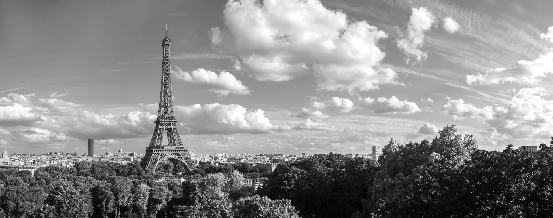 Black and white panoramic view of the Eiffel Tower with a cloudy sky and Paris cityscape in the background.