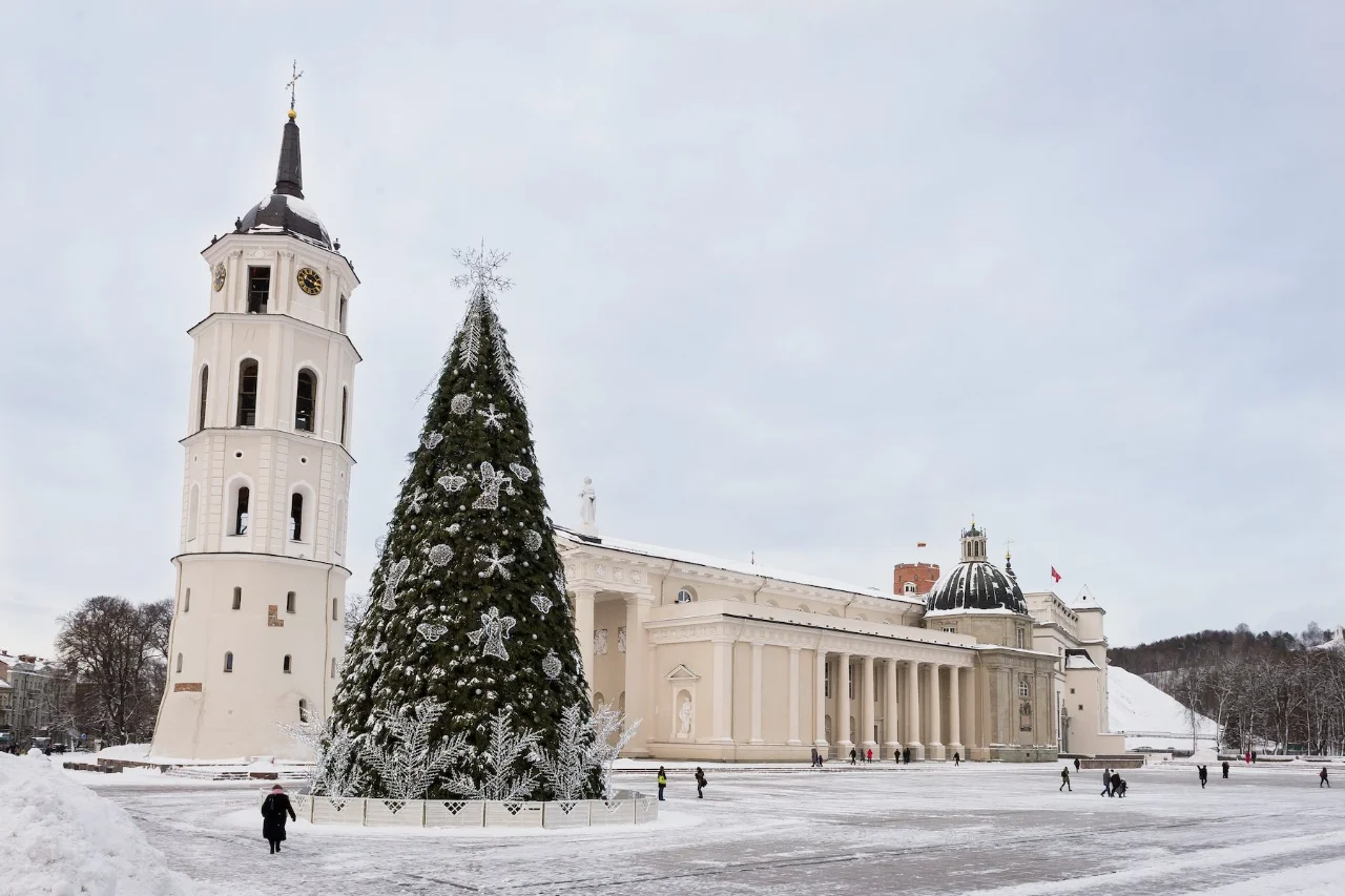 Spectacular decorated Christmas tree with white bell tower and cathedral in Cathedral Square, Vilnius, Lithuania