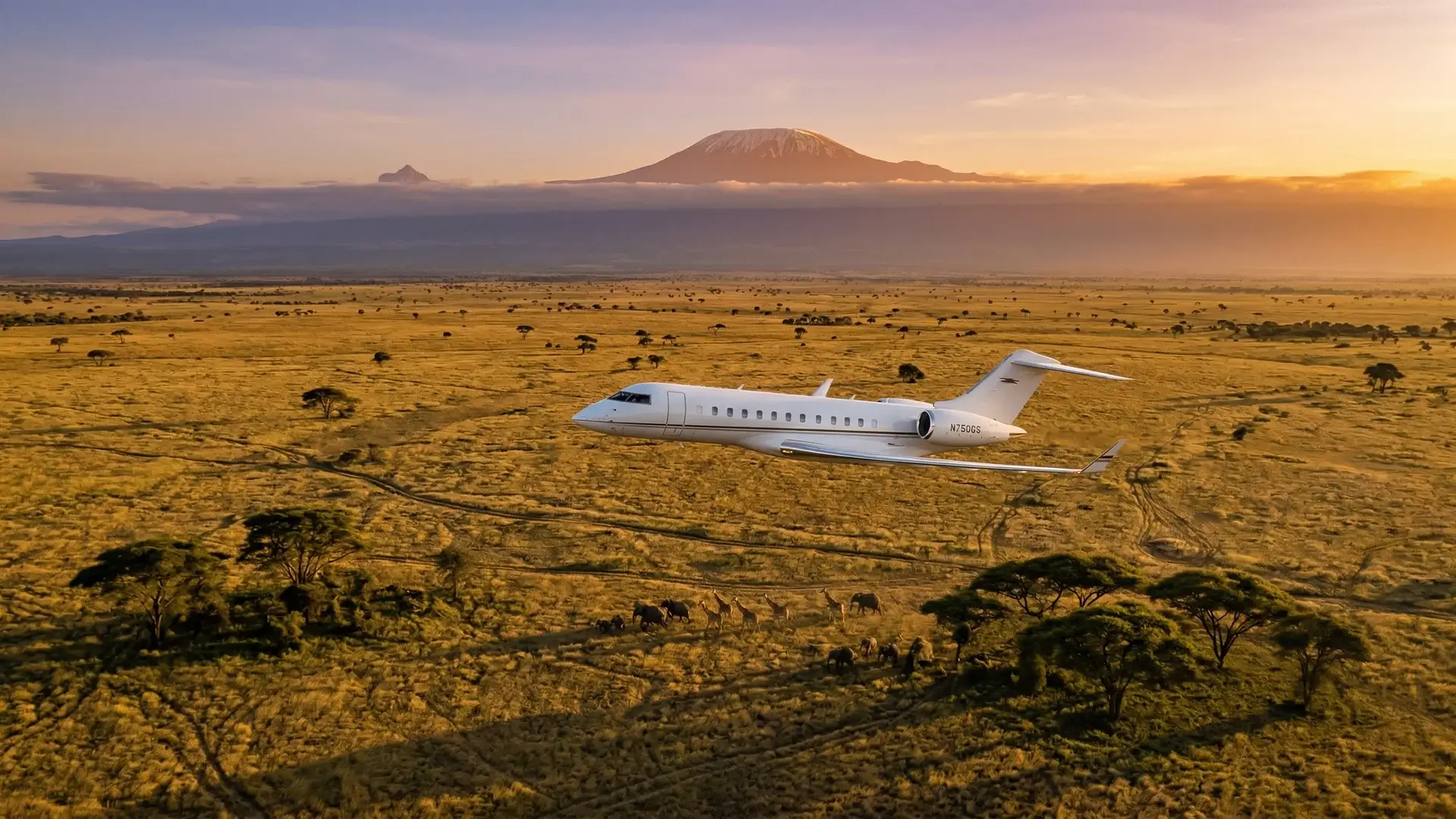 Jet privato in volo a bassa quota sulla savana africana