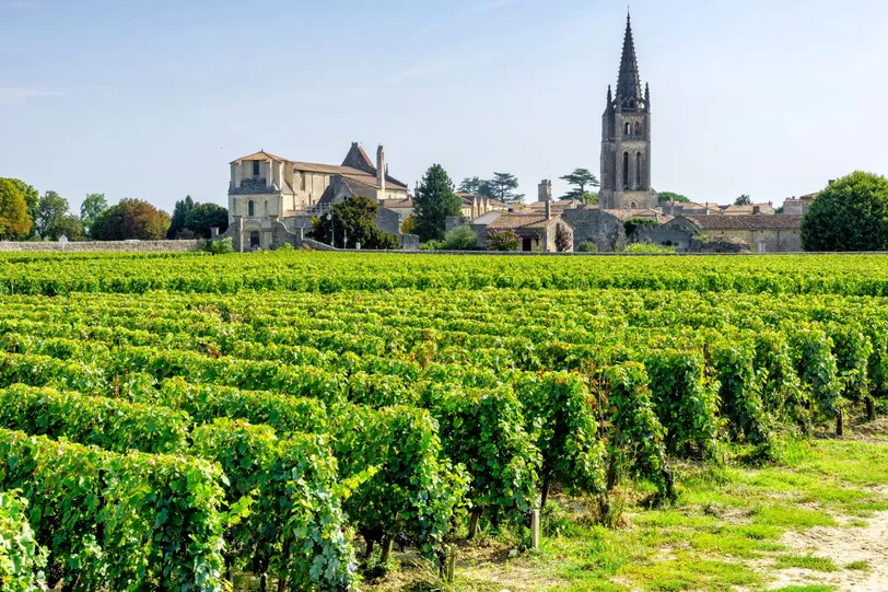 Un pittoresco vigneto a Bordeaux, che mostra viti rigogliose con un'architettura storica sullo sfondo. Questa regione è rinomata per i suoi vini di livello mondiale e il ricco patrimonio culturale.