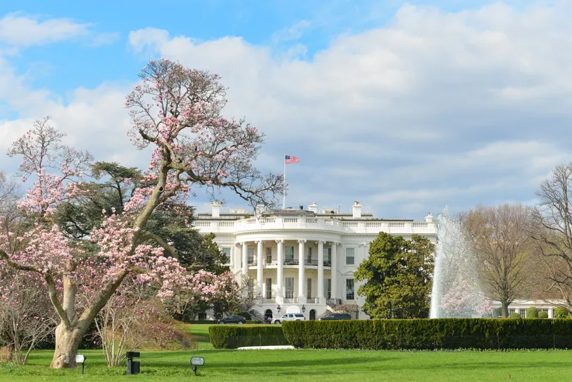 Biały Dom otoczony kwitnącymi wiosennymi drzewami i tętniącym życiem zielonym trawnikiem, pod częściowo zachmurzonym niebem.