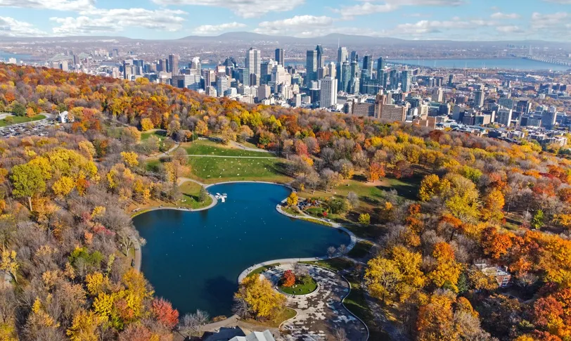Vue aérienne spectaculaire de Montréal en automne, avec son feuillage coloré et une vue dégagée sur la silhouette de la ville et le parc du Mont-Royal.