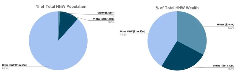 Graphique circulaire illustrant la répartition et les pourcentages de la richesse des particuliers fortunés (HNW).