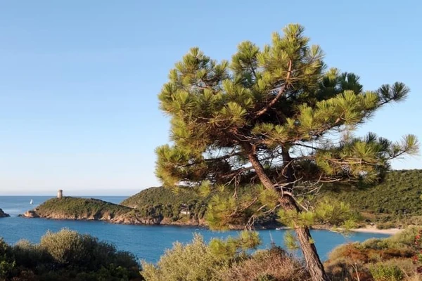 Vista de las costas de Figari en Córcega con el mar y los veleros en una tarde soleada y sin nubes