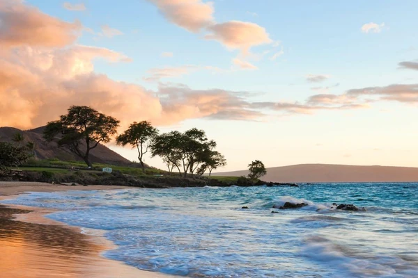 Coucher de soleil doré à Wailea Beach, Maui avec des acacias emblématiques et des vagues turquoises sur la côte hawaïenne