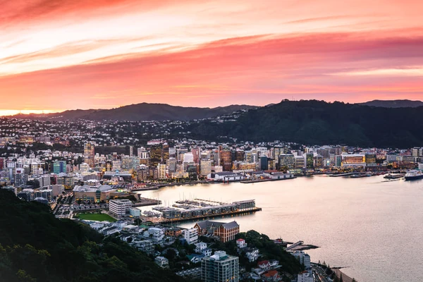 Città portuale di Wellington al tramonto con case in collina e centro