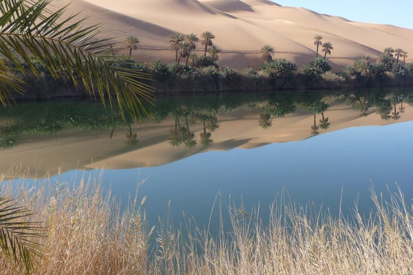 Paesaggio sereno di un'oasi pittoresca in Libia, con acque cristalline che riflettono le palme circostanti e le dune di sabbia sotto un cielo limpido