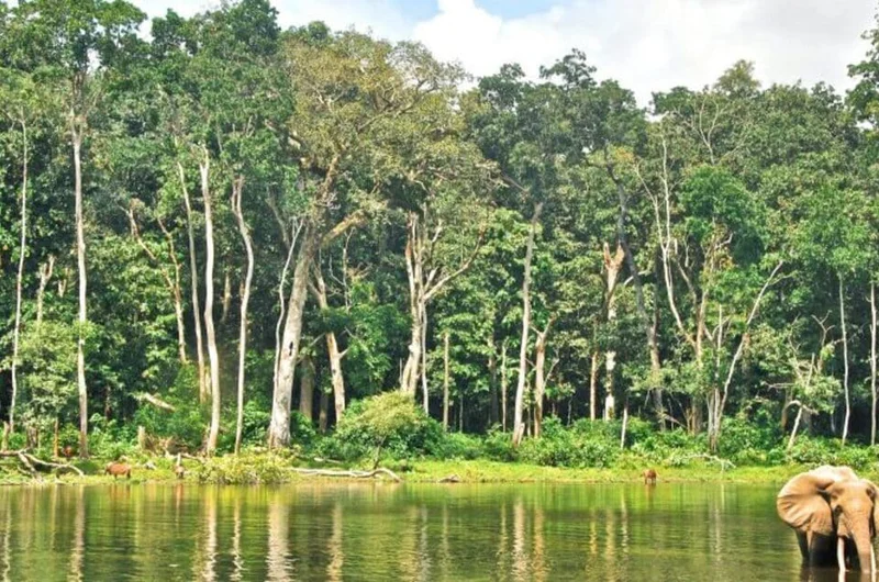 Brazza legjava hajózás