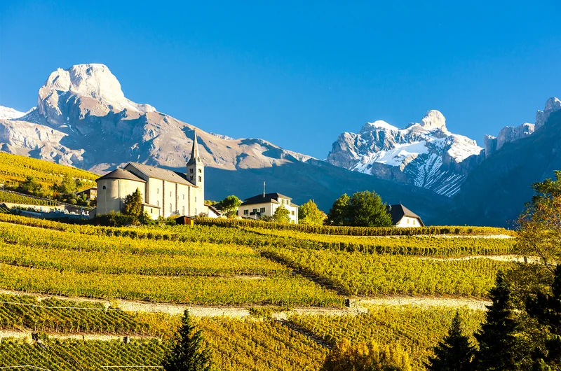 Emberek borkóstolót egy szőlőültetvényen Sionban