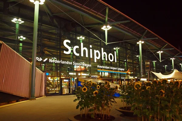 Vista nocturna de la entrada de la terminal del Aeropuerto Amsterdam Schiphol con señalización iluminada, columnas de apoyo verdes y plantas decorativas.