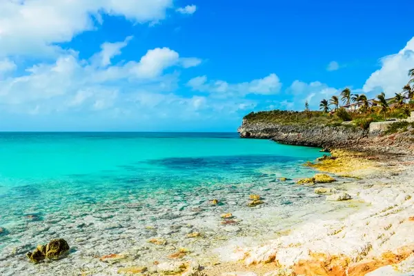 Côte rocheuse sur l'île Eleuthera aux Bahamas