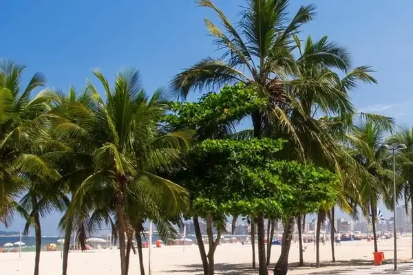Una spiaggia proprio accanto alla città di Rio de Janeiro in Brasile