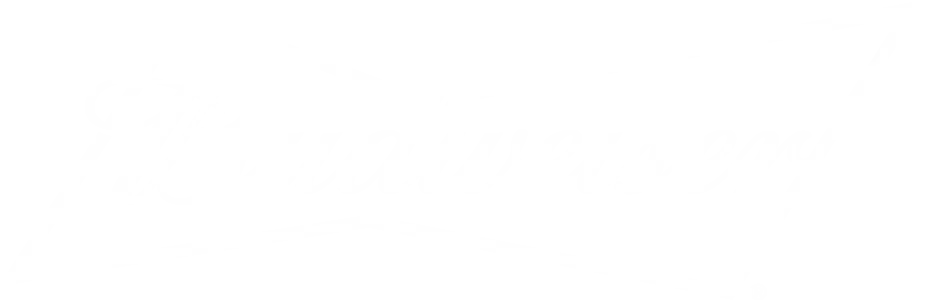 Budweiser logo in white script inside a bowtie-shaped outline on a transparent background.
