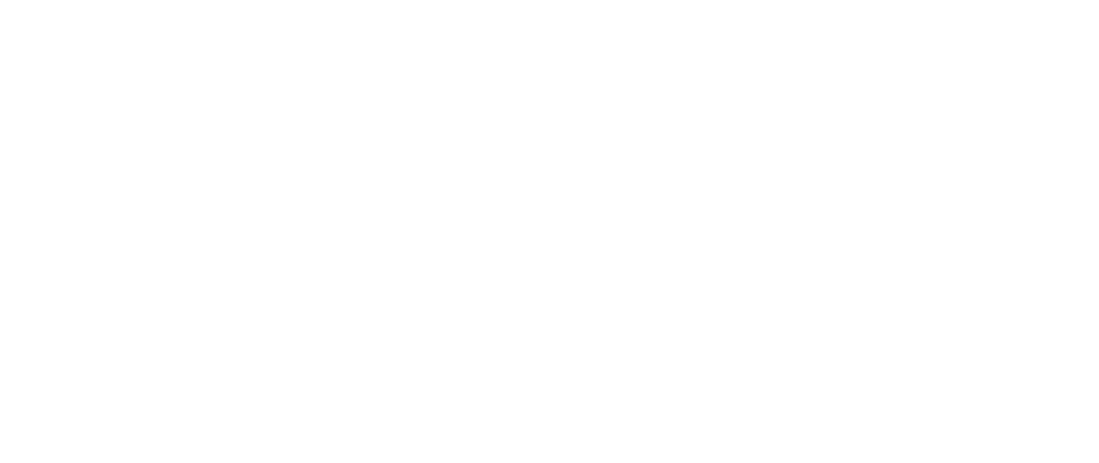 The Times of India logo with an illustration of the Ashoka Pillar emblem above the text.
