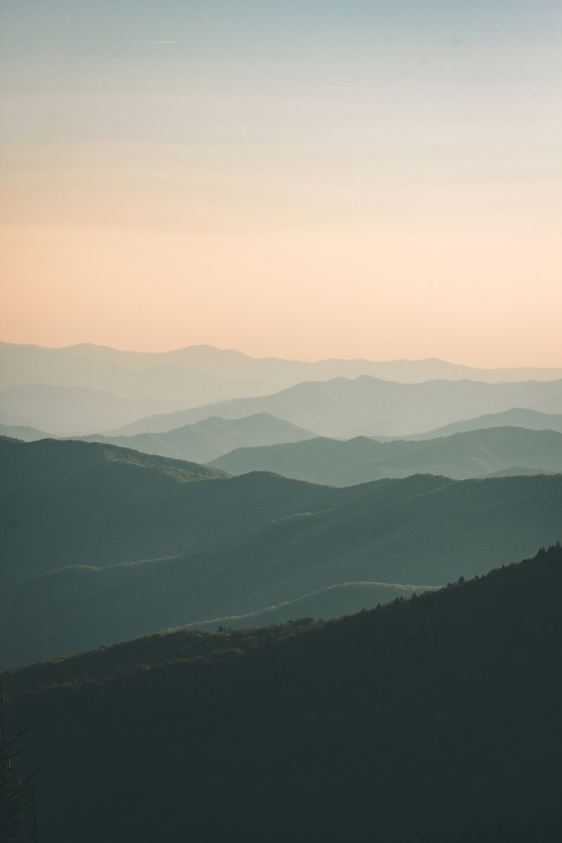 Our values: Trust & Integrity; Excellence; Holism & Generosity; Transparency & Inclusivity