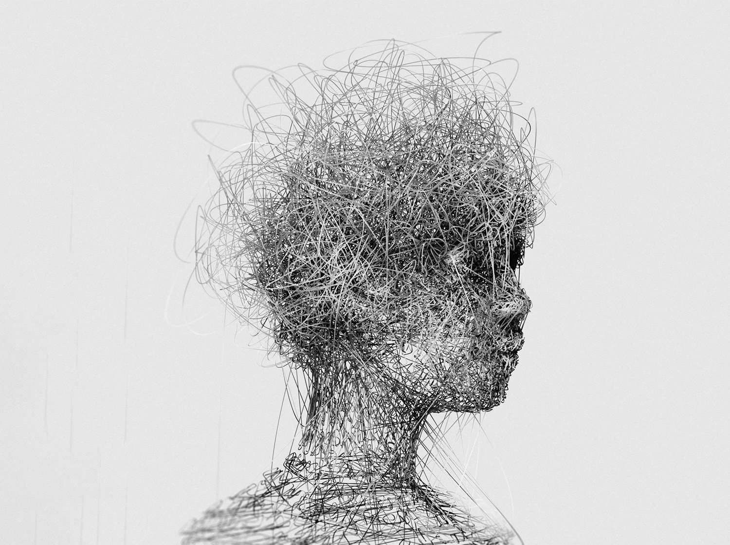 Somatic leadership development and nervous system awareness for executive decision-making