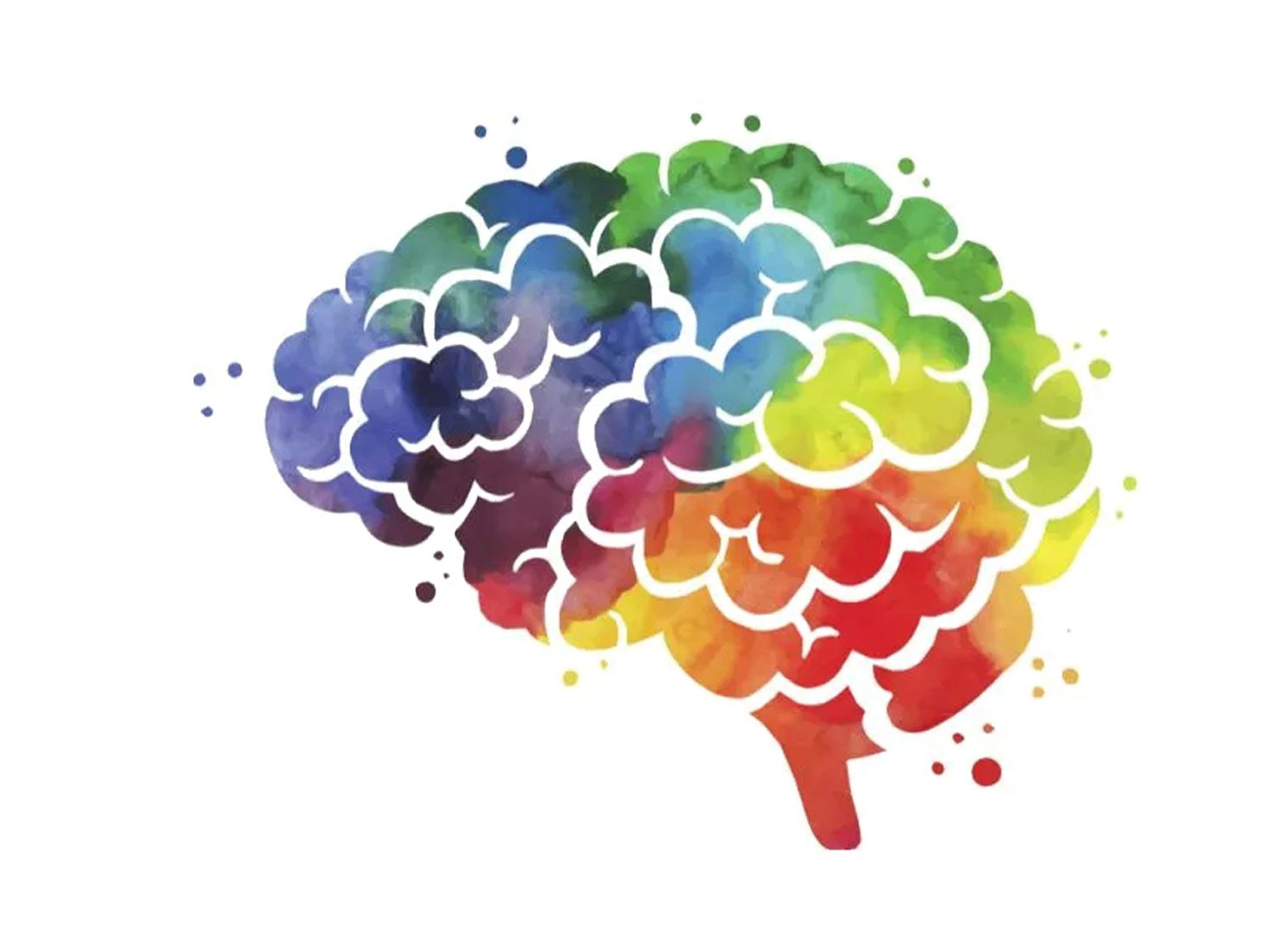 Somatic leadership development and nervous system awareness for executive decision-making