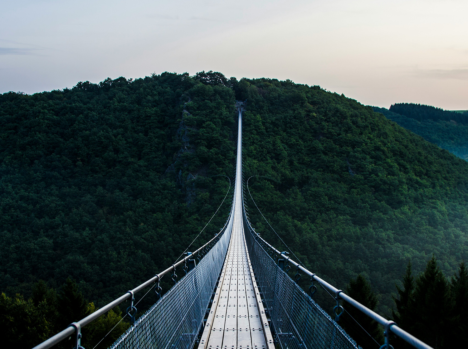 The Middle Management Crisis: Fear, Decision-Making & Leadership