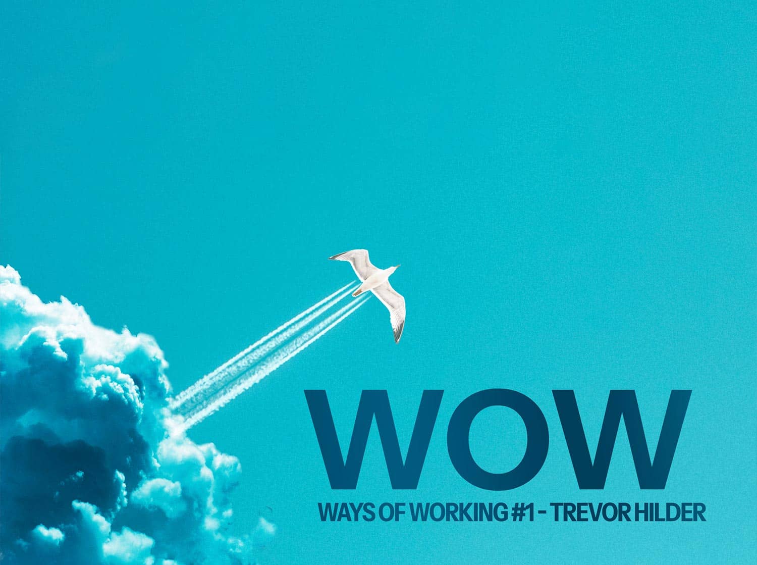 Somatic leadership development and nervous system awareness for executive decision-making