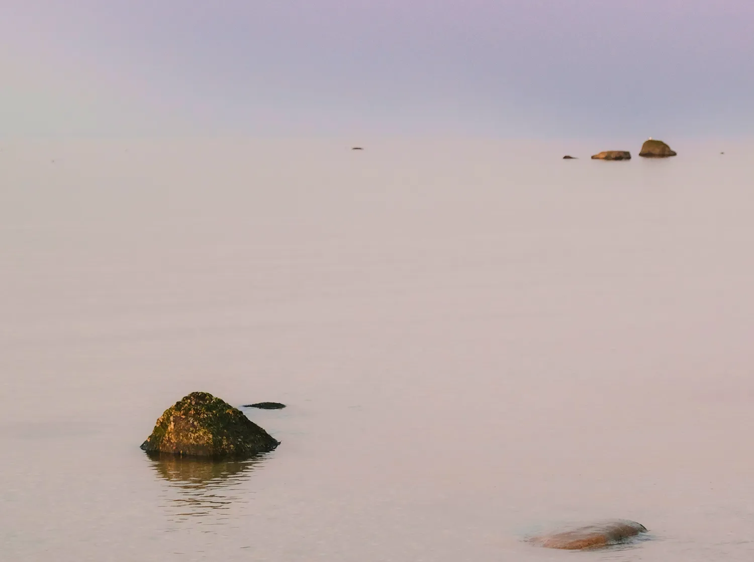 Somatic leadership development and nervous system awareness for executive decision-making