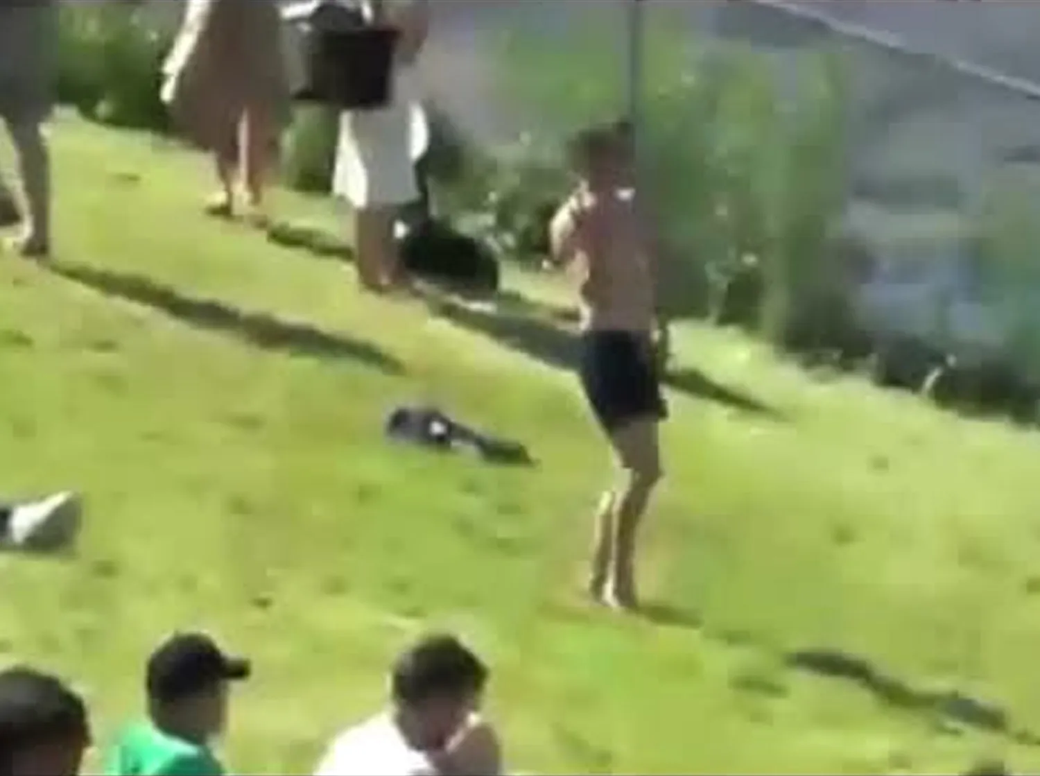 Somatic leadership development and nervous system awareness for executive decision-making