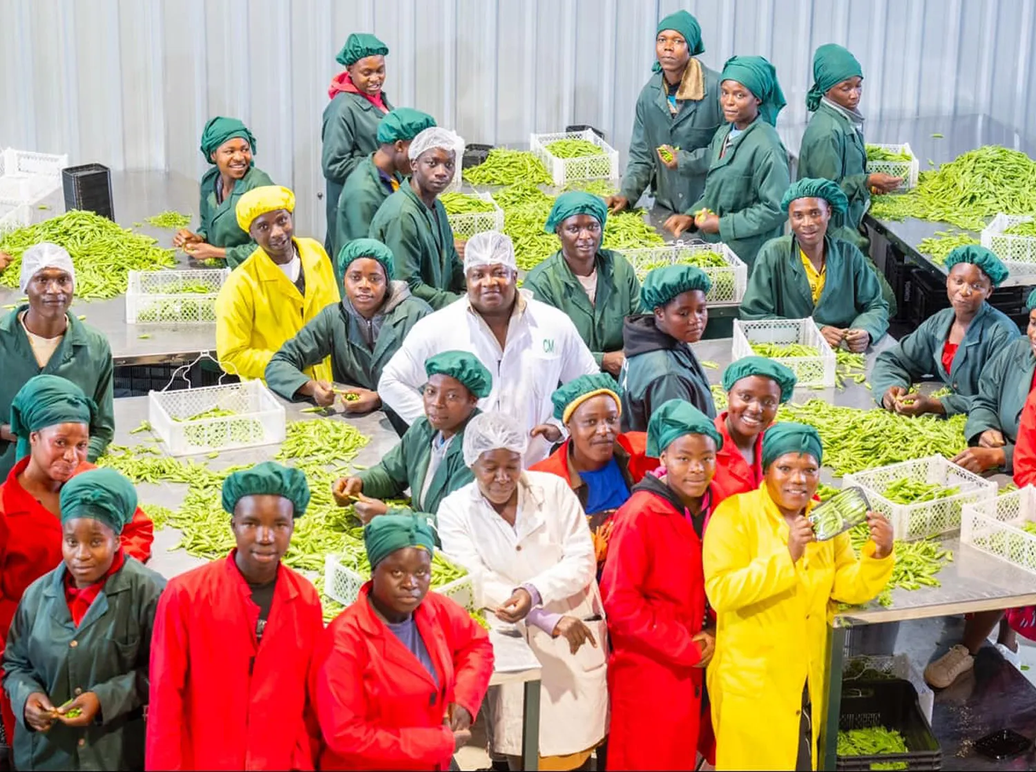 Somatic leadership development and nervous system awareness for executive decision-making