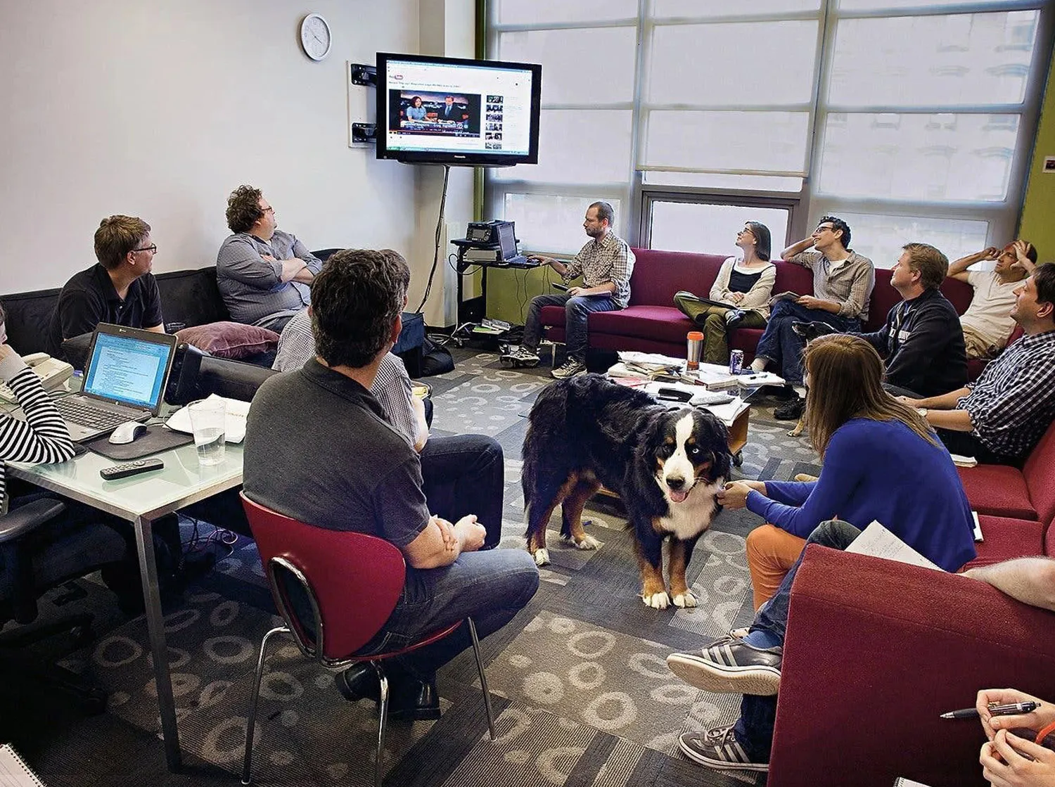 Somatic leadership development and nervous system awareness for executive decision-making