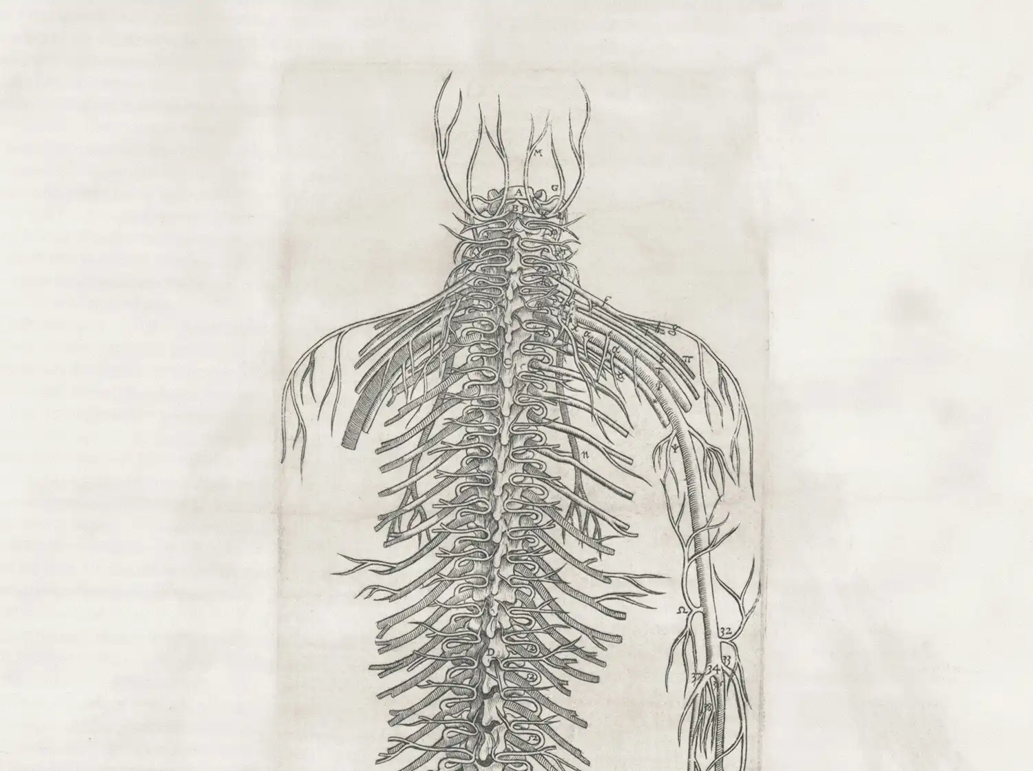 The Middle Management Crisis: Fear, Decision-Making & Leadership