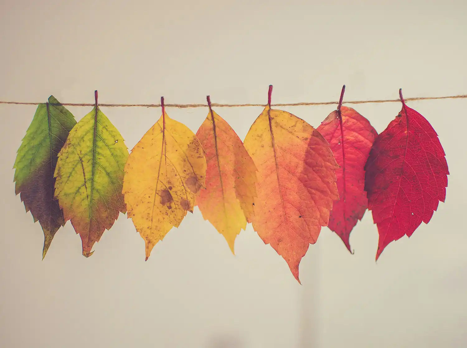 The Middle Management Crisis: Fear, Decision-Making & Leadership