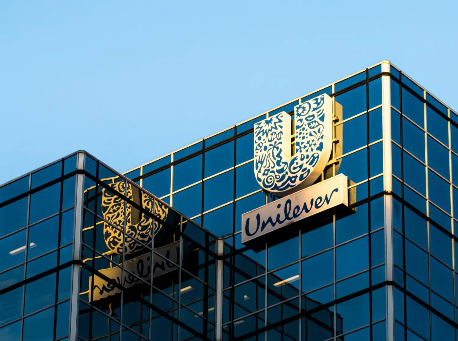 The Middle Management Crisis: Fear, Decision-Making & Leadership