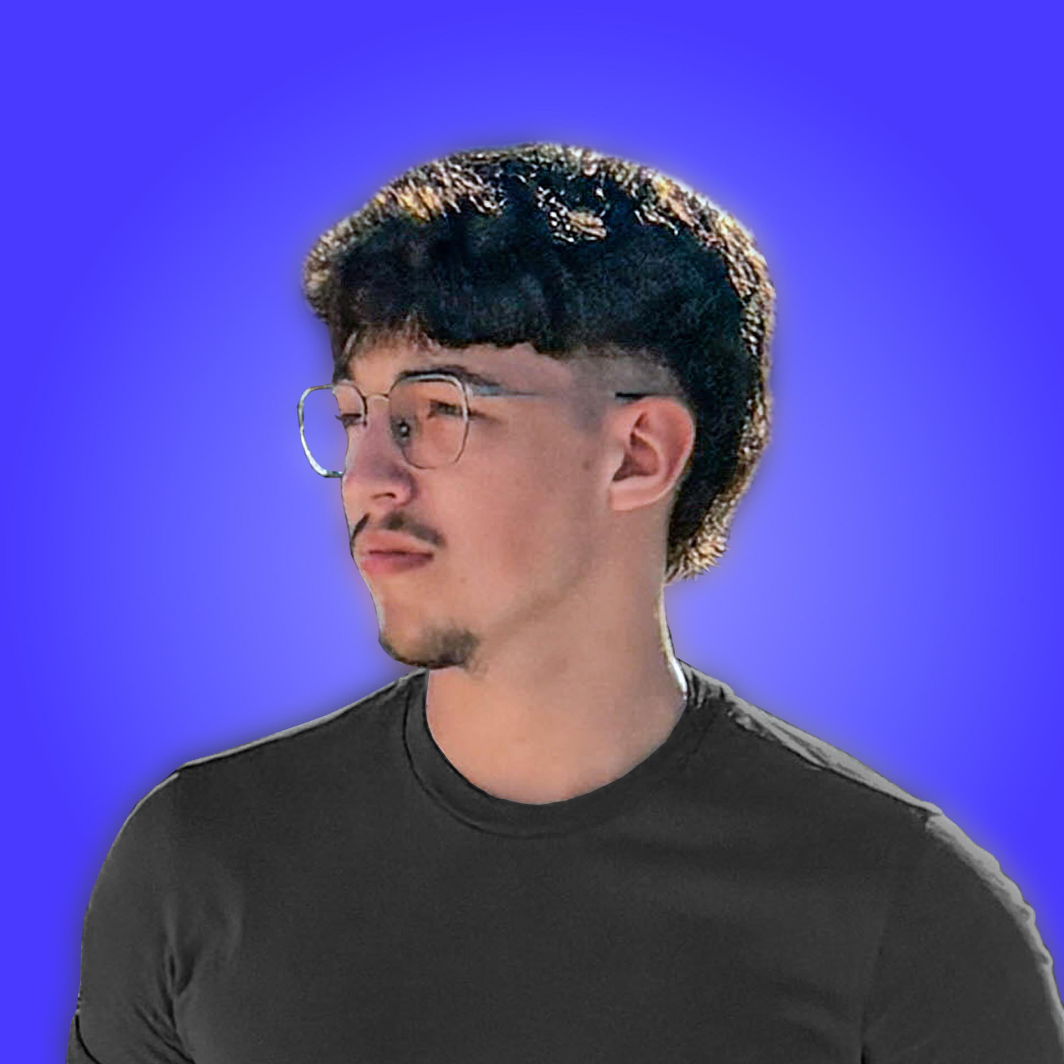 David Poledník's avatar