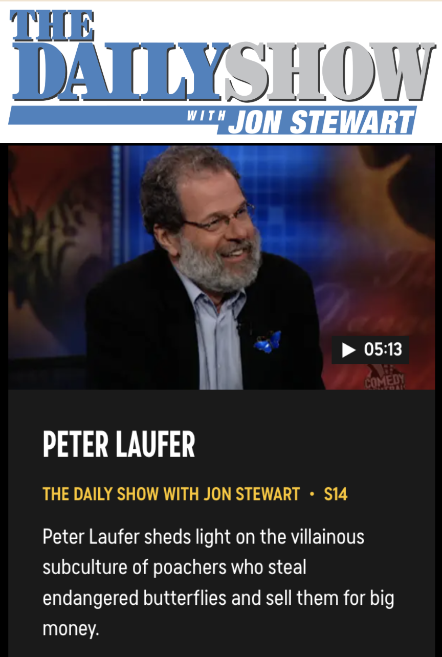 Operator K.P. | Landing Page