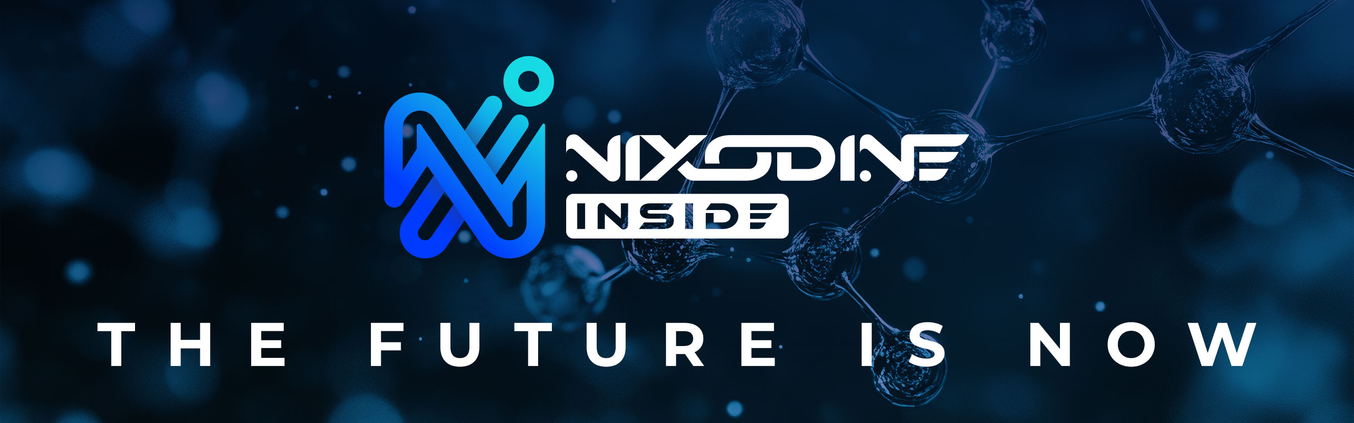 Products with Nixodine Inside