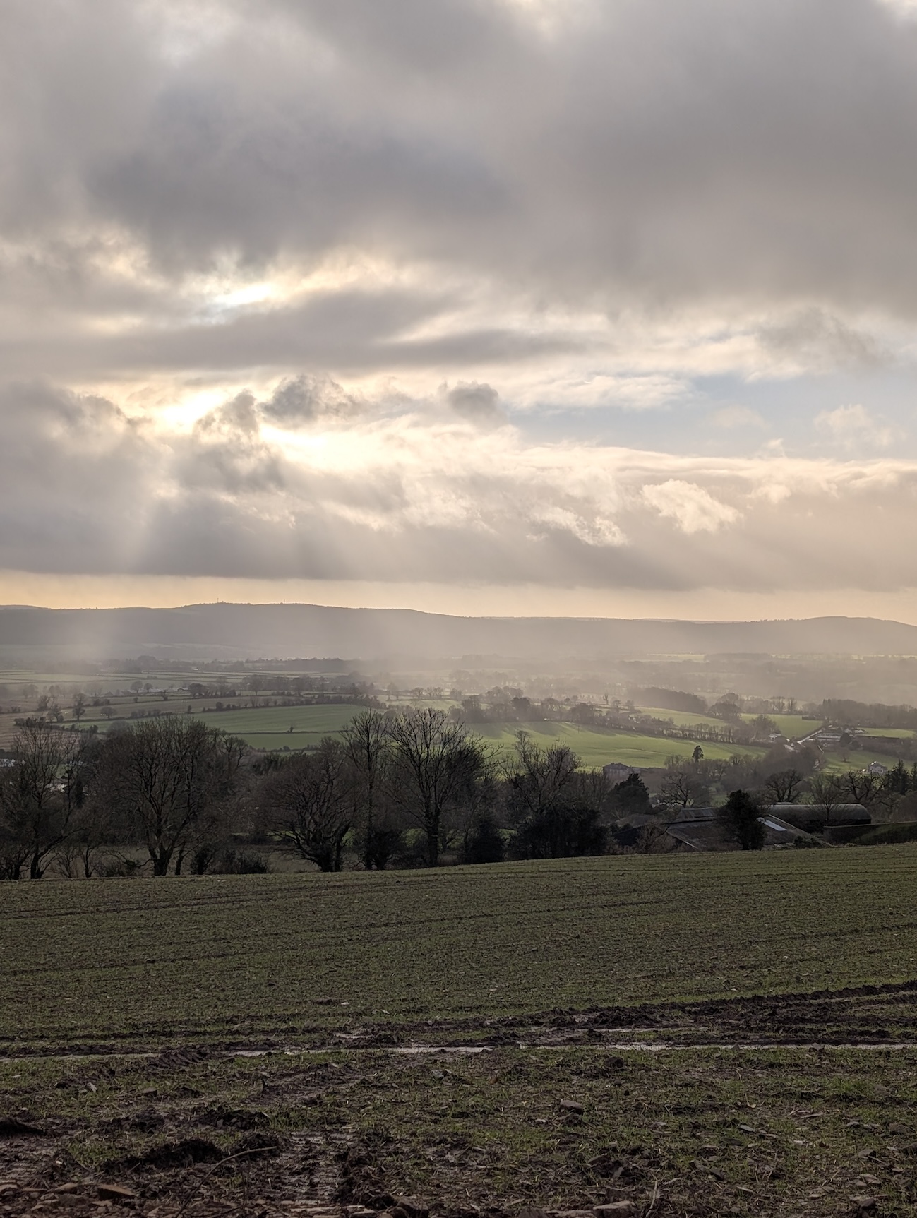 Boherboy night with mountains in background sunset