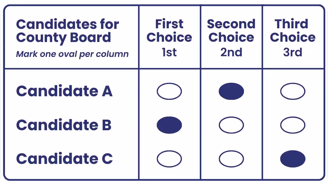 County Board RCV sample ballot