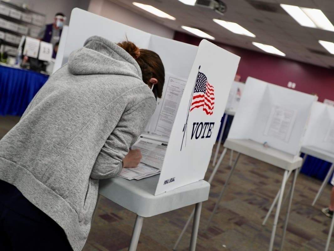 Patch: Ranked Choice Voting Floated In Loudoun County