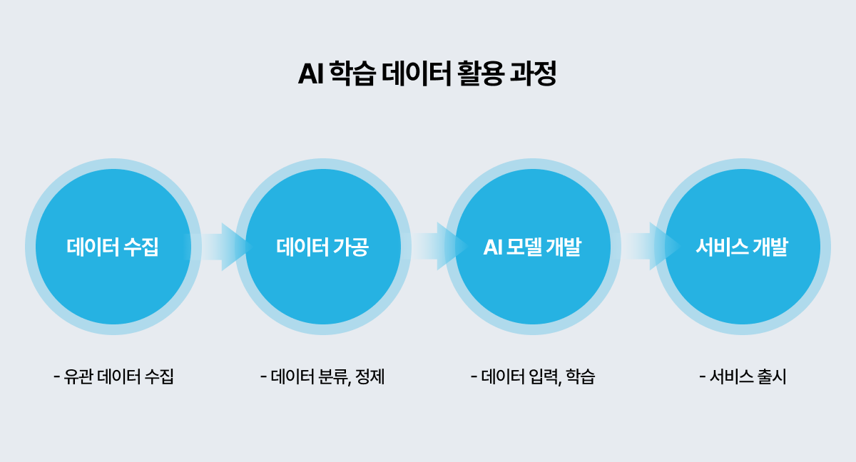 AI 학습 데이터 활용 과정