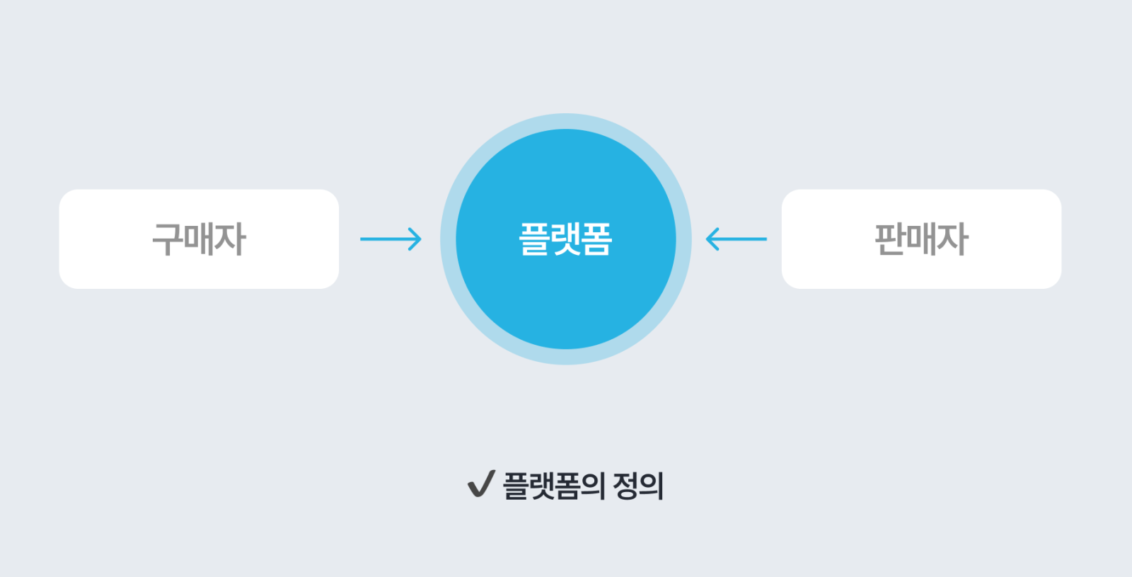 플랫폼 정의 설명