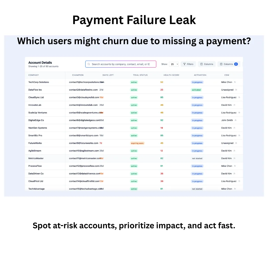 Payment failure leak