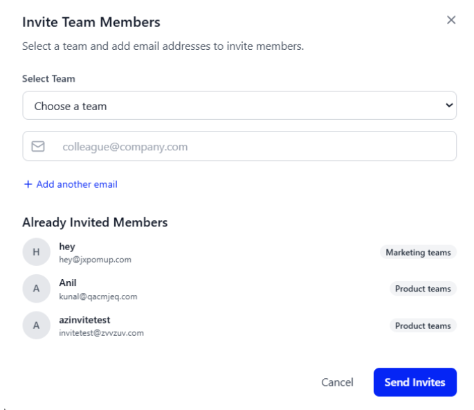 Invite team members screen showing email input and list of already invited users.