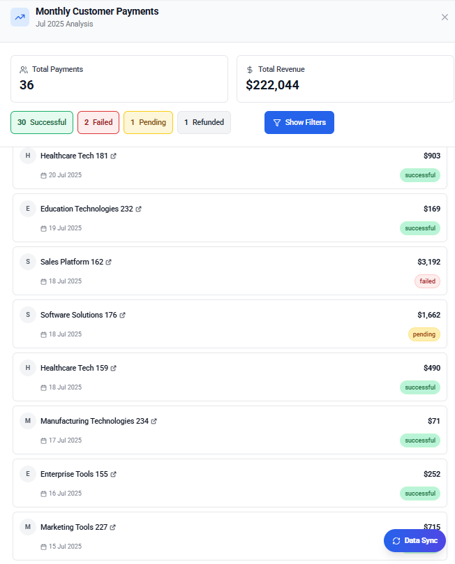Monthly payments report showing successful, failed, pending, and refunded customer transactions.