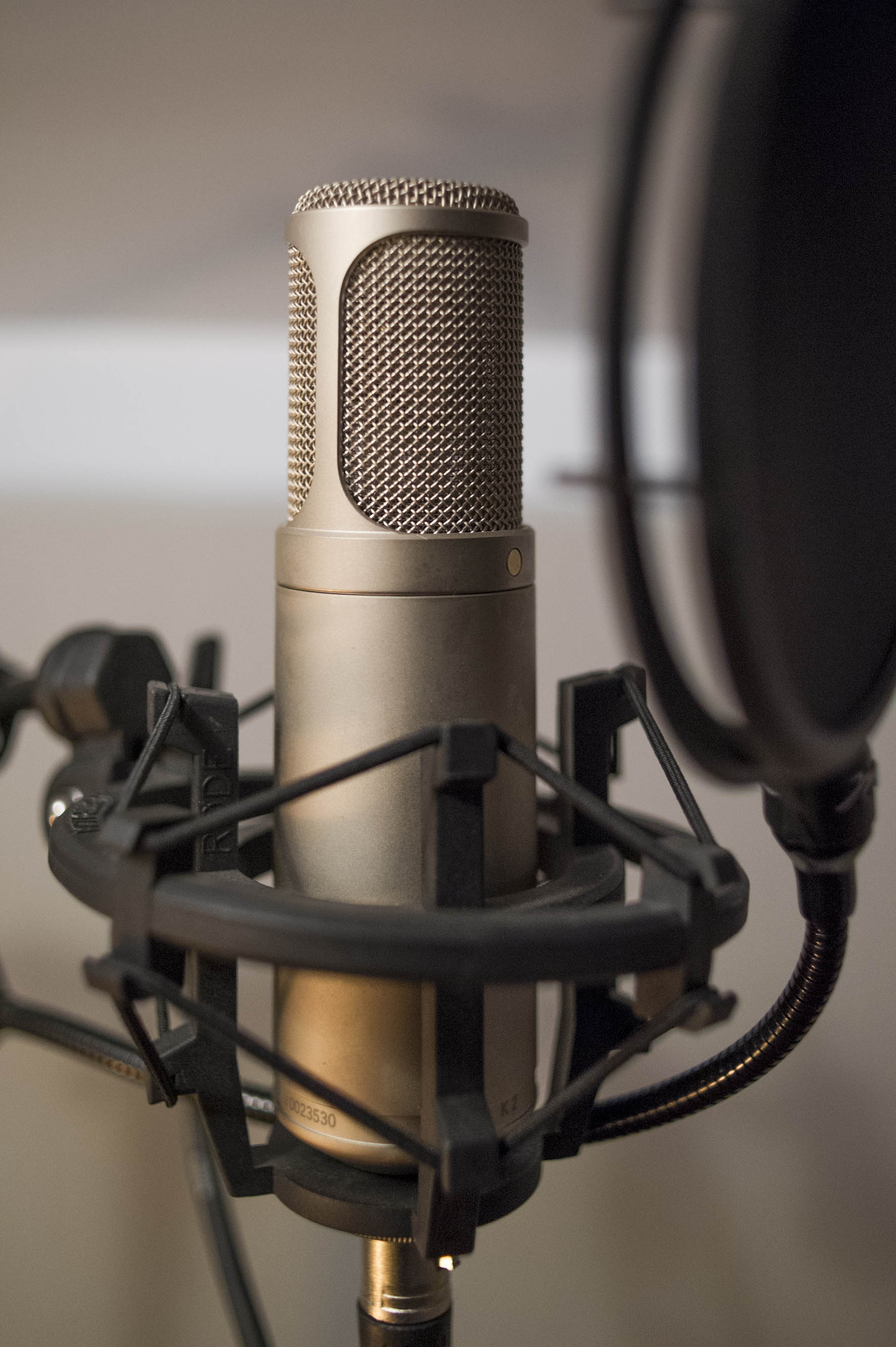 image of musician at music festival