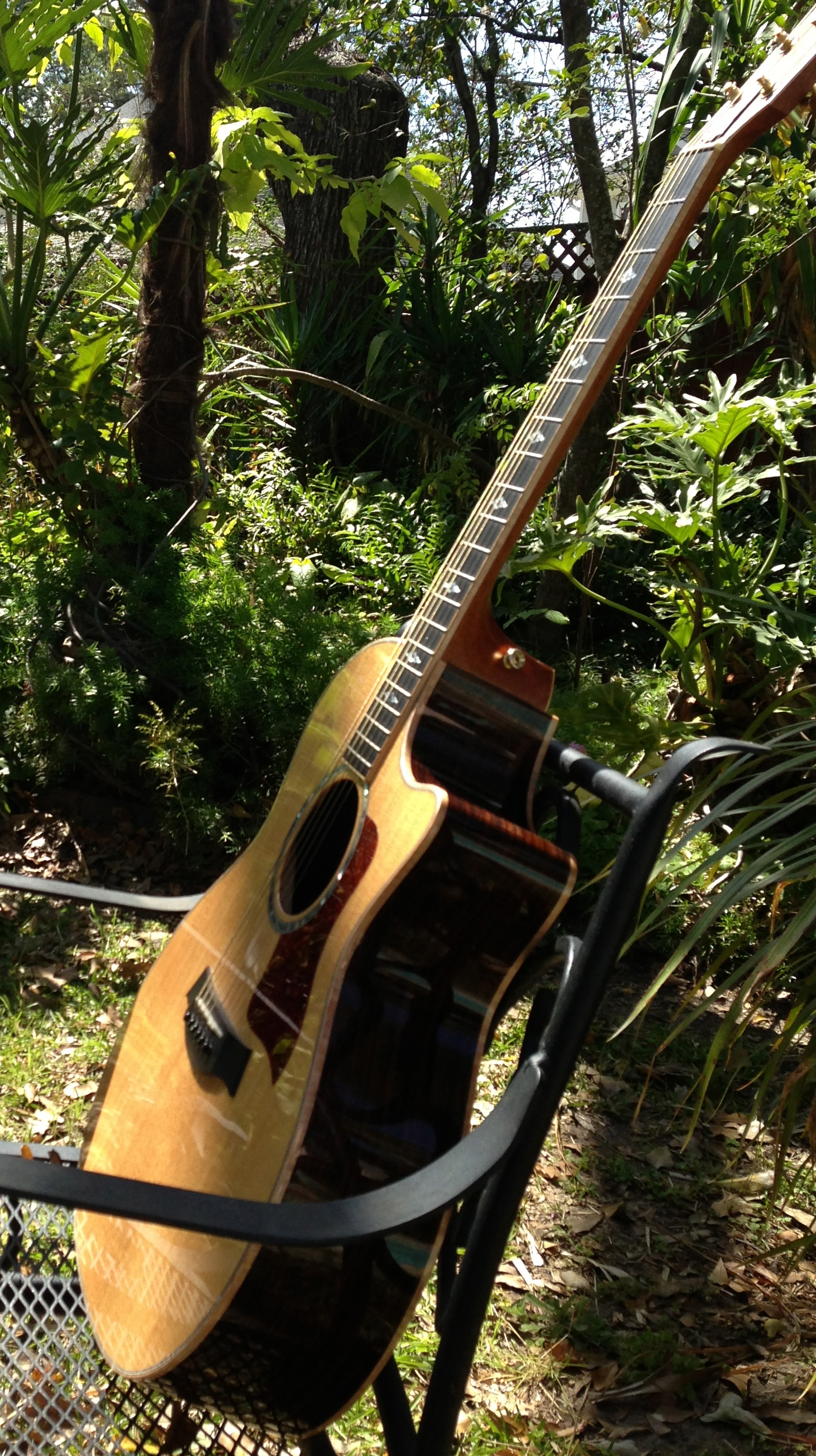 image of live music events (for a craft brewer)